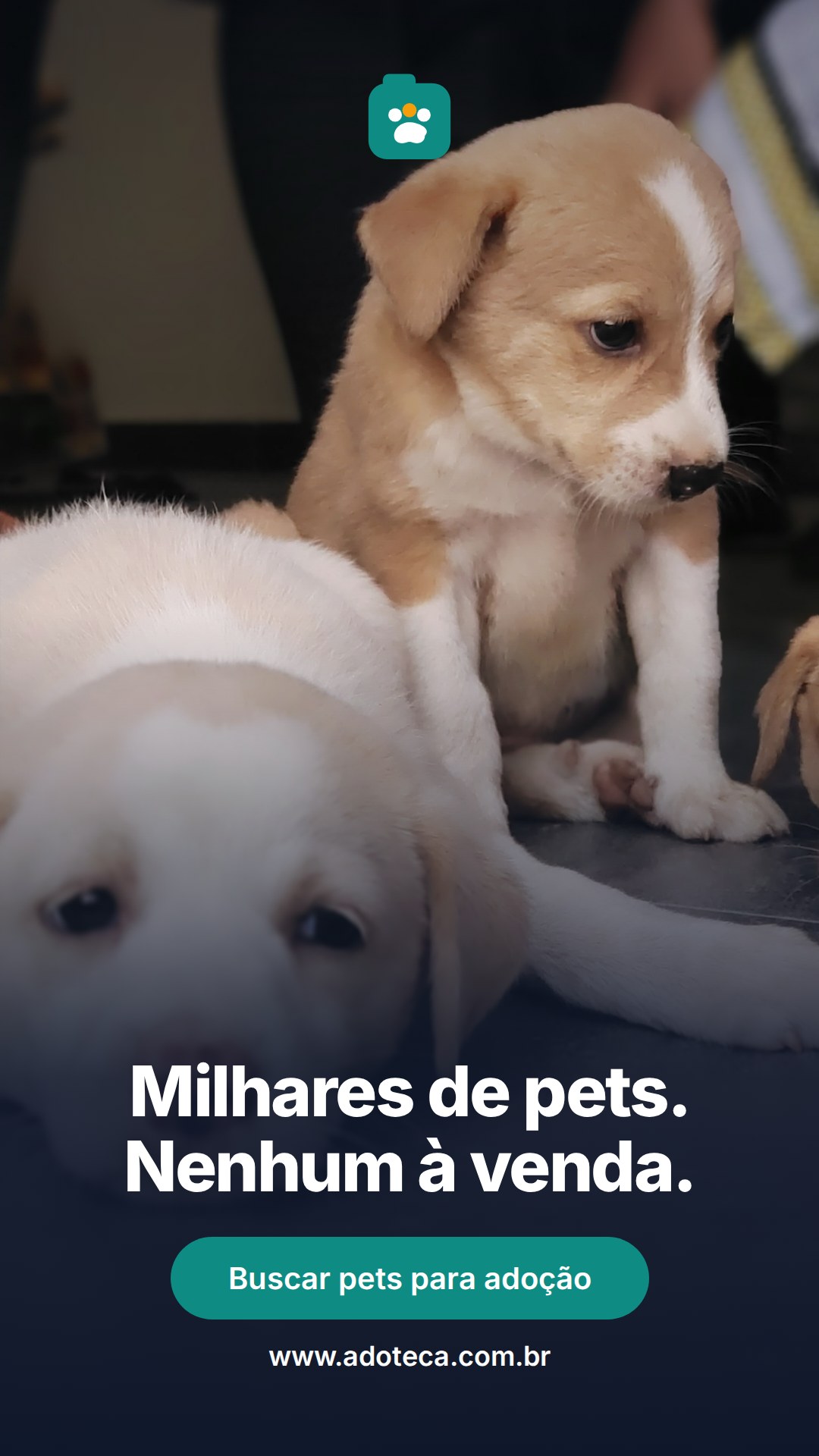 Arte para WhatsApp · Status, versão Com foto